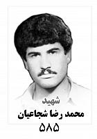 آلبوم اختصاصی تصاویر شهید محمدرضا شجاعیان . کد 1403313448 آ