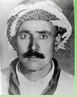 آلبوم اختصاصی تصاویر شهید رحیم شیخی چماق . کد 1403208266 آ