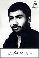 آلبوم اختصاصی تصاویر شهید احمد شکوری . کد 1403207868 آ