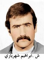 آلبوم اختصاصی تصاویر شهید ابراهیم شهریاری خیرابادی . کد 1403260432 آ