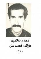 آلبوم اختصاصی تصاویر شهید محمد صالح پور . کد 1403327235 آ