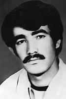 آلبوم اختصاصی تصاویر شهید داود صالح خشکه رود . کد 1403246664 آ