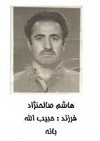 آلبوم اختصاصی تصاویر شهید هاشم صالح نژاد . کد 1403246650 آ