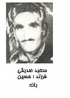 آلبوم اختصاصی تصاویر شهید سعید صدیقی . کد 1403246771 آ