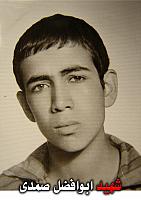 آلبوم اختصاصی تصاویر شهید ابوالفضل صمدی . کد 1403246863 آ