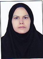 آلبوم اختصاصی تصاویر شهید مریم صالحی مورکانی . کد 1403118451 آ