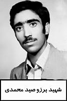 آلبوم اختصاصی تصاویر شهید برزو صیدمحمدی . کد 1403209272 آ