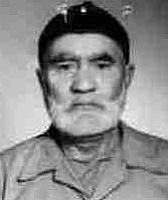 آلبوم اختصاصی تصاویر شهید الهوردی طلعتی شیشوان . کد 1403209648 آ