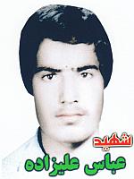 آلبوم اختصاصی تصاویر شهید عباس علی زاده چاهکینی . کد 1403233627 آ