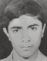 آلبوم اختصاصی تصاویر شهید عباس عابدینی دره جوزی . کد 1403314778 آ