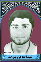 آلبوم اختصاصی تصاویر شهید احمد عرب بنی اسد . کد 1403210408 آ