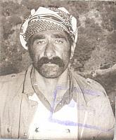 آلبوم اختصاصی تصاویر شهید جمشید عزیزخانی . کد 1403252521 آ