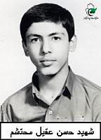 آلبوم اختصاصی تصاویر شهید حسن عقیل محتشم . کد 1403262606 آ