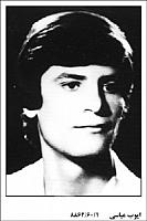 آلبوم اختصاصی تصاویر شهید ایوب عباسی کوتمهر . کد 1403130493 آ