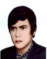 آلبوم اختصاصی تصاویر شهید نوفل عمومی . کد 1403119234 آ