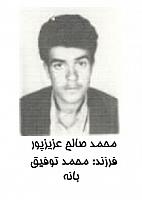 آلبوم اختصاصی تصاویر شهید محمدصالح عزیزپور . کد 1403327193 آ