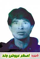 آلبوم اختصاصی تصاویر شهید اصغر عیوضی وند . کد 1403282363 آ