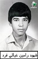 آلبوم اختصاصی تصاویر شهید رامین غیاثی فرد . کد 1403262417 آ