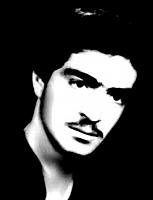 آلبوم اختصاصی تصاویر شهید تیمور فرجی دویران . کد 1403315978 آ