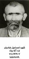 آلبوم اختصاصی تصاویر شهید اسماعیل فرامرزی . کد 1403299995 آ