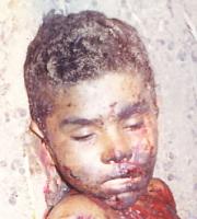 آلبوم اختصاصی تصاویر شهید علی فتانم نم چه ای . کد 1403329275 آ