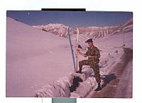 آلبوم اختصاصی تصاویر شهید باقر فعله گری . کد 1403327922 آ