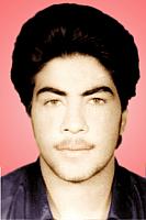 آلبوم اختصاصی تصاویر شهید حبیب فاضل پورعقدایی . کد 1403325940 آ