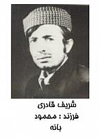 آلبوم اختصاصی تصاویر شهید شریف قادری . کد 1403316277 آ