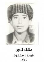 آلبوم اختصاصی تصاویر شهید مناف قادری . کد 1403316287 آ