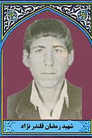 آلبوم اختصاصی تصاویر شهید رمضان قلندرنژاد . کد 1403248847 آ