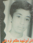 آلبوم اختصاصی تصاویر شهید مظاهر قره باغی . کد 1403300772 آ