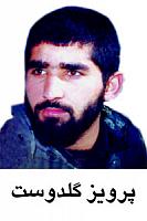 آلبوم اختصاصی تصاویر شهید پرویز گلدوست . کد 1403317782 آ