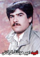 آلبوم اختصاصی تصاویر شهید امیرهوشنگ گرگانی . کد 1403301945 آ