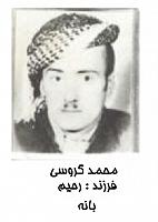 آلبوم اختصاصی تصاویر شهید محمد گروسی . کد 1403129920 آ