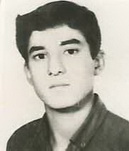 آلبوم اختصاصی تصاویر شهید قلی گرگی . کد 1403301948 آ