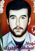 آلبوم اختصاصی تصاویر شهید امیدعلی گودرزی . کد 1403317861 آ