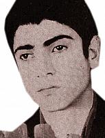 آلبوم اختصاصی تصاویر شهید نجف کاظمی طغرالجردی . کد 1403212754 آ
