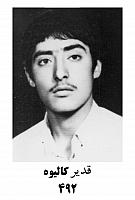 آلبوم اختصاصی تصاویر شهید قدیر کالیوه . کد 1403317035 آ