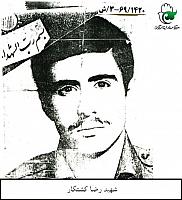 آلبوم اختصاصی تصاویر شهید رضا کشتکار . کد 1403324315 آ