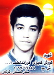 آلبوم اختصاصی تصاویر شهید کوروش کمیزی . کد 1403317543 آ