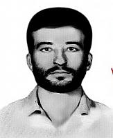 آلبوم اختصاصی تصاویر شهید هانی روستایی . کد 1403258817 آ