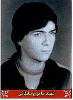 آلبوم اختصاصی تصاویر شهید شاهرخ سلطانی . کد 1403312938 آ