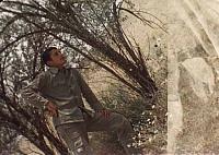 آلبوم اختصاصی تصاویر شهید داود ابراهیمی پیرموسایی . کد 1403292973 آ