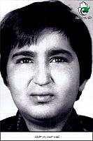 آلبوم اختصاصی تصاویر شهید صمد بدرحقیقت . کد 1403254231 آ