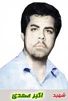 آلبوم اختصاصی تصاویر شهید اکبر صمدی . کد 1403232450 آ