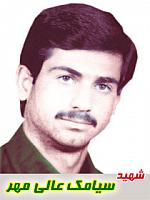 آلبوم اختصاصی تصاویر شهید سیامک عالی مهر . کد 1403314842 آ