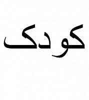 آلبوم اختصاصی تصاویر شهید مجید نوروزی . کد 1403251238 آ