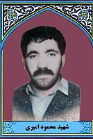 آلبوم اختصاصی تصاویر شهید محمود امیری دوماری . کد 1403327978 آ