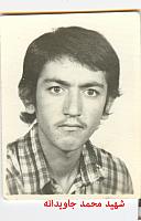 آلبوم اختصاصی تصاویر شهید محمد جاویدانه . کد 1403270509 آ