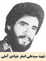 آلبوم اختصاصی تصاویر شهید سیدعلی اصغر جوادی املی . کد 1403255848 آ